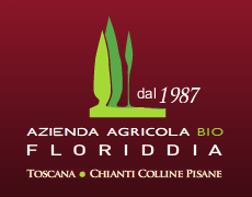 logo Floriddia